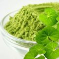 Trinamool Herbal সেনটেলা লিফ পাউডার থানকুনি পাতা গুঁড়া থানকুনি পাতা গুঁড়া ১০০ গ্রাম. 