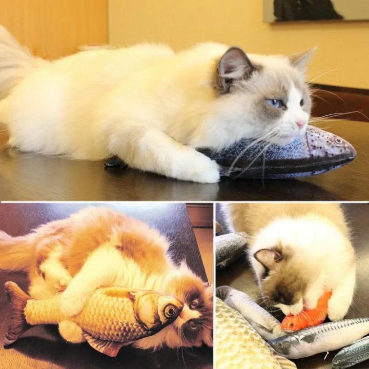 5PCS%20Catnip%20Fish%20Toys%20for%20Cat%2020Cm%20Cat%20Toys%20Cat%20Fish%20Pillow%20Cat%20Catnip%20Toys%20-%20Image%205