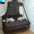 Hanging Swing or Dolna with Nylon.
