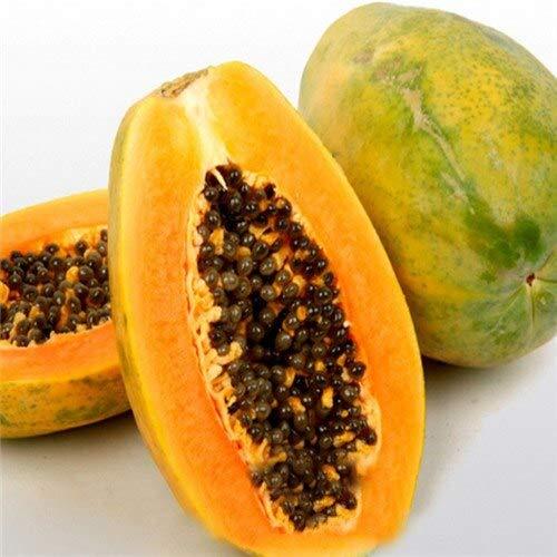Yellow%20Gold%20Papaya%20Imported%20Global%20Seeds-%2010%20Pcs%20Seeds%20-%20Image%205