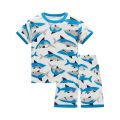 New Design Dinosaur Boys Pajamas Sets Children's Pyjama Boy's Sleepwear Suit Telescope Kids Pjamas home wear Costumes Nightgown.