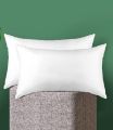 Synthetic Fiber White Cushion 20"x 12" 02 pcs,. 