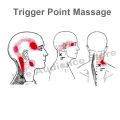 Multifunctional Trigger Point Massage Comb Head Meridian Massager Sandalwood Gua Sha Comb Acupuncture Therapy Blood Circulation.