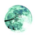 30 cm Big Wall Sticker Self Adhesive Cartoon Pattern PVC 3D Moon Shaped Luminous Sticker for Home. 