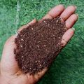 Neem Khol Powder 1KG – Premium Organic Soil Enricher. 