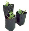 Nursery Black Poly Bag 18/18inch 500gm for Planting Nursery Pots Plant Grow Bags Seedling Planter. 