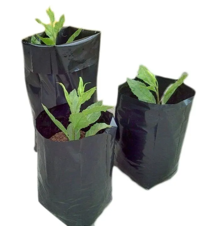 Nursery%20Black%20Poly%20Bag%2010/10%20inch%20(250gm%20-4kg)%20for%20Planting%20Nursery%20Pots%20Plant%20Grow%20Bags%20Seedling%20Planter%20-%20Image%204