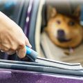 (New)2 PCS Car Window Door Corner Brush Cleaning Car Crevice Brush. 