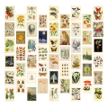 Vintage Aesthetic Wall Collage Kit - 50 Mini Botanical Collage Art Posters (4X6Inch), for Photo Wall.