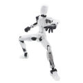 Multi-Jointed Movable Robot 3D Printed Mannequin Toyslucky 13 Dummy Action.