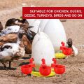 【Toy life hall】Chicken Cup Automatic Waterer Drinking Bowl Thread Watering Feeder Cup for Chicken. 