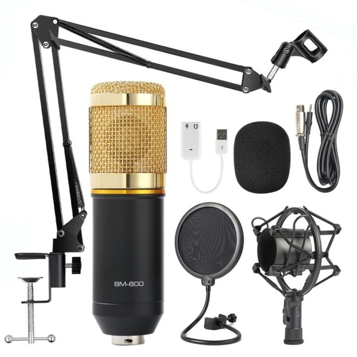 BM 800 Professional Condenser Microphone Full Studio Setup With Filter ...