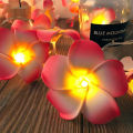 plumeria flower led string light /Kath Golap fairy light  bedroom decorative party. 