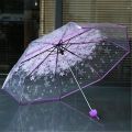 Cherry Blossom Transparent Folding Umbrella.