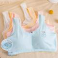 Multiple Color New Design Stylish Padded Bra Soft and Comfortable Stylish Undergarments Skin Friendly Bra. 