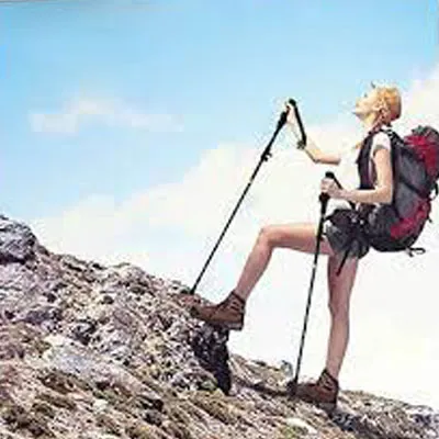 Premium%20quality%20Folding%20Walking%20Stick%20-%20Image%203