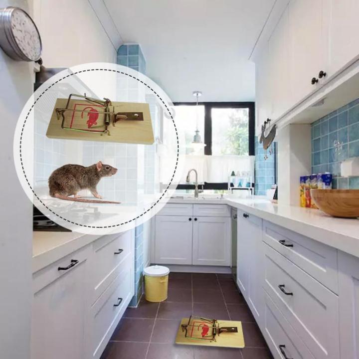 1%20Pcs%20%20Reusable%20Rat%20Catching%20Mice%20Mouse%20Traps%20Mousetrap%20Bait%20Snap%20Spring%20Rodent%20Catcher%20Pest%20Control%20Products%EF%BC%88S%EF%BC%89%20-%20Image%205