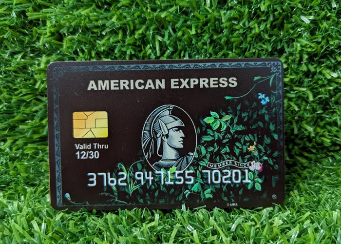 1%20pcs%20Amex%20Card%20for%20wallet%20fashion%20is%20different%20colors%20-%20Elegant%20and%20Refined%20-%20Modern%20Vibe%20-%20Upscale%20Quality%20-%20Image%202