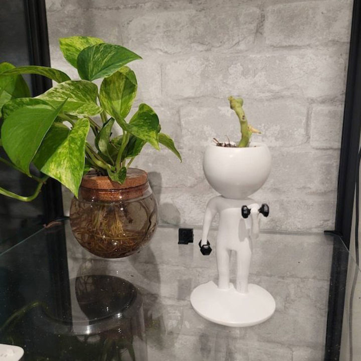 GC Funny Sporting Succulents Potted Plants Pots Yoga Succulent Planter Pots Cactus Plant Pot Flower Pot For Home Office Desk Decoration (excluding Plants)