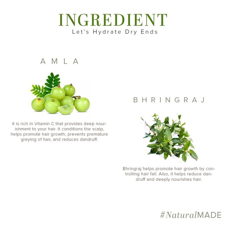 Khadi%20Natural%20Amla%20&%20Bhringraj%20Hair%20Cleanser(Shampoo)%20%7C%20Hair%20Cleanser%20with%20Natural%20Ingredients%20%7C%20Anti-Dandruff%20Shampoo%20%7C%20Anti-Hair%20Fall%20Shampoo%20%7C%20Shampoo%20for%20Nourishing%20Hair%20%7C%20Suitable%20for%20All%20Hair%20Types%20%7C%20210ml%20-%20Image%204