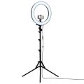 20" Selfie LED Ring Light with Tripod Stand & Cell Phone Holder Desktop Lamp Mini Led Camera Light for Tiktok/Youtube/Live/ Makeup/Photography..