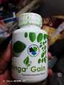 Moringa Gain Best Food for Good Health. 