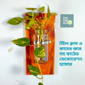 Wall flower Vase of natural wood and glass for office and living room. ( with plant / without plant).