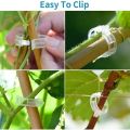 Plant Clip Supports Reusable Plastic Connects Fixing Vine Vegetable Plants Orchard and garden Tools.