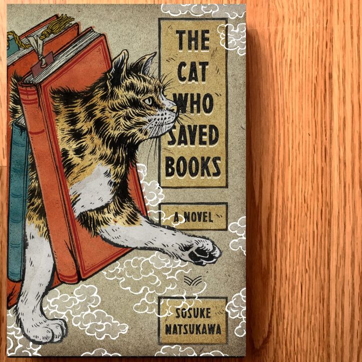 The%20Cat%20Who%20Saved%20Books%20%20premium%20quality%20-%20Image%202
