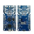 Blue Digital Development Board 1.0E Graphical Programming Easily Runs RISC-V for Python FPGA.