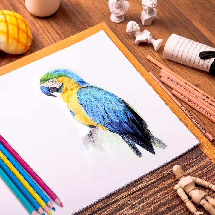 100%20Sheets%20White%20Cardstock%208.5%20x%2011%20Certificate%20Paper,%2080%20grams%20Goefun%20White%20Card%20Stock%20Printer%20Paper%20for%20Invitations,%20Menus,%20Wedding,%20DIY%20Cards%20-%20Image%205