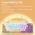 FEKER IK65 Mechanical Keyboard RGB 3 Modes Wireless Support Via 65% 4000mah PBT keycaps Bluetooth 2.4G Gasket Knob Faker ik65. 