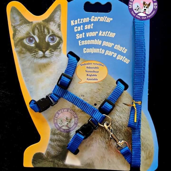 Cat%20body%20Belt%20-%20Multicolor%20-%20Image%204