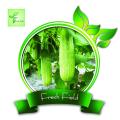 Cucumber Seed Baromashi \ Baromashi Sosa - 15 seeds. 