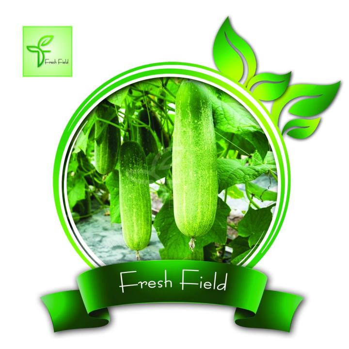 Cucumber Seed Baromashi \ Baromashi Sosa - 15 seeds