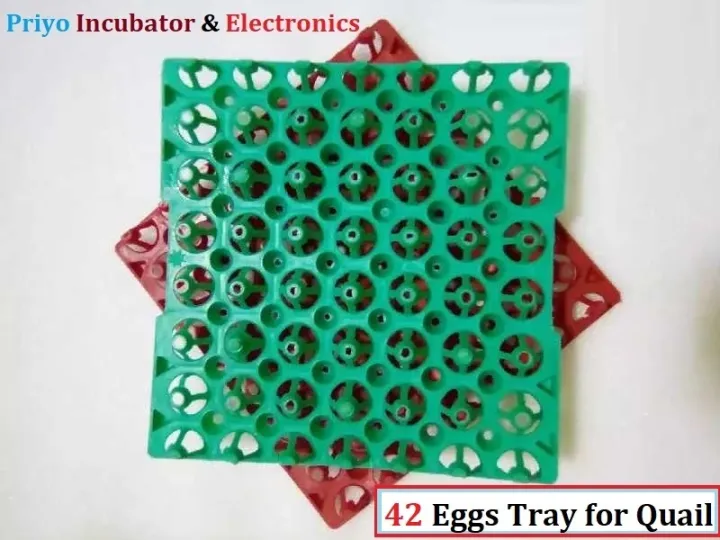 42%20pcs%20Quail%20eggs%20Tray%20-%20Image%204
