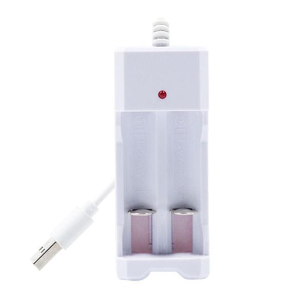 Charger%20Battery%20Charger%201.2%20Volt%20Battery%20Charger%20AA%20&%20AAA%20Battery%20Charger%202%20Slot%20-%20Image%204