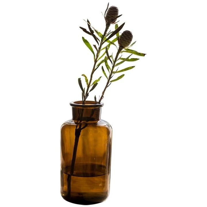 Juhan%20INSGlass%20Bottle%20Vase%20flower%20Test%20Bottle%20Brown%20Groceries%20Nordic%20Retro%20Industrial%20Style%20-%20Image%204
