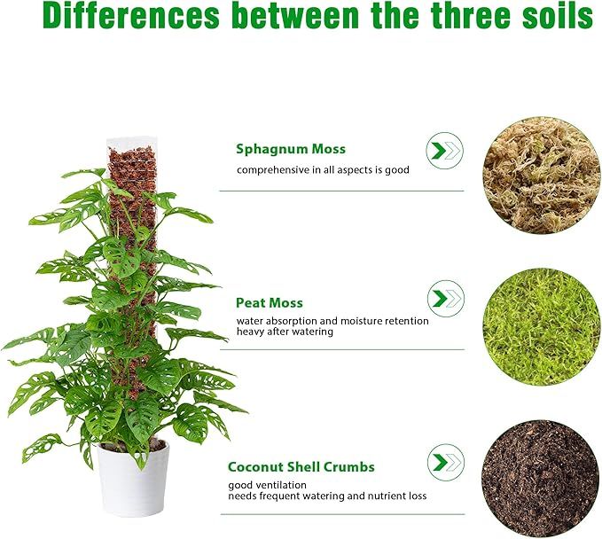 Coco%20Poles%20(24inch)%20for%20Climbing%20Plants%20%7C%20Coconut%20Palm%20Fiber%20Monstera%20Plant%20Support,%20Money%20Plants%20and%20etc.%20%20%7C%20Handmade%20Coco%20pole%20for%20Plant%20Support%20Sticks%20for%20Potted%20Plants.%20-%20Image%204