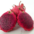 Red Dragon Tree With Roots For Home Gardening - Cutting Of Dragon Fruit Plant-5Pieces - Seeds. 