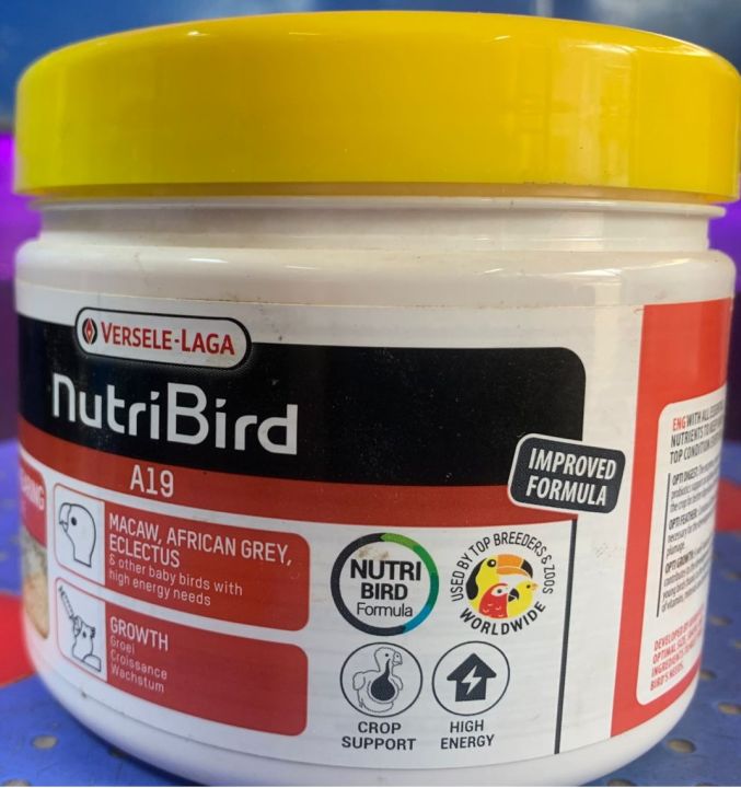 VERSELE-LAGA%20NutriBird%20A19%20Hand%20Feed%20Formula%20Crop%20Support%20High%20Energy%20For%20MACAW%20AFRICAN%20GREY%20PARROT%20ECLECTUS%20and%20Other%20baby%20birds%20with%20high%20energy%20needs%20250GM%20Jar%20-%20Image%204