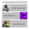 365nm UV Blacklight Rechargeable UV Flashlight Ultraviolet Torch Dog Urine Pet Stain Bed Bug Scorpion fluorescent Detection Lamp.