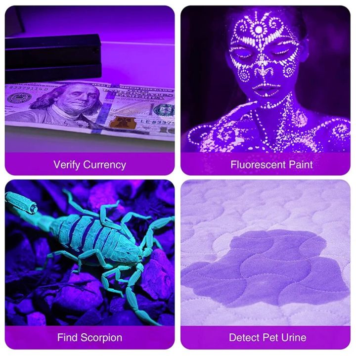 UV%20Handheld%20Waterproof%20Blacklight%20Flashlights%2012%20Led%20395nm%20Mini%20Light%20Torch%20Detector%20for%20Pets%20Urine%20Stains%20Black%20Light%20UV%20Lamp%20-%20Image%202