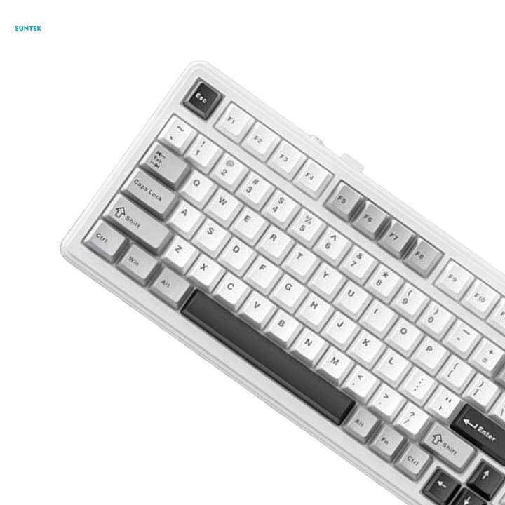 Mechanical%20Gaming%20Keyboard%2099%20Key%20for%20PC%20Laptop%20Gasket%20Structure%20RGB%20Backlit%20-%20Image%205