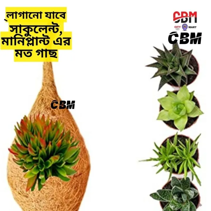 Bird%20nest%20Artificial%20Eco-friendly%20Babui%20Pakhir%20Basha%20%20Height%2010%20inch%20round%2020%20inch%20-%20Image%208