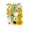 【Wweirdoo】Lots Real Dried Pressed Flowers Dried Flowers Leaves Mixed Multiple Dry Flower for DIY Candle Jewelry Nail Pendant Crafts Art. 
