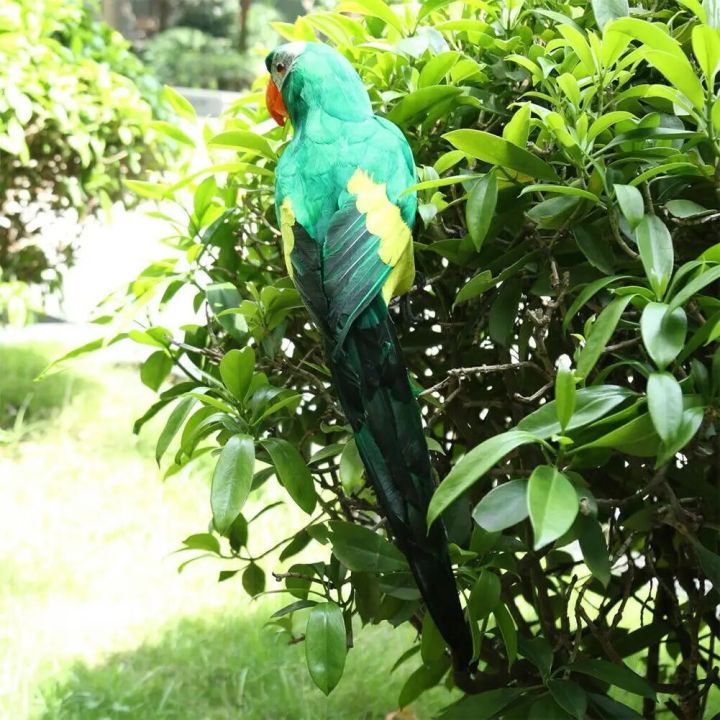 1pc%20Simulation%20Plush%20Parrot%20Decor%20Garden%20Decoration%20Hanging%20Parrot%20Stuffed%20Toys%20Birds%20White/yellow/red%20C7v2%20-%20Image%206