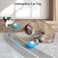 5cm/1.97 Inch Automatic Rolling Ball With Led Flash Lights 2 Modes IP54 Waterproof Interactive Toy Fun Birthday Gift.
