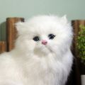 Realistic Cute Simulation Stuffed Plush White Persian Cats Toys Cat Dolls Table Decor Kids Boys Girls.