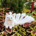 New product simulation nine-tailed fox plush toy model decoration children's gift pet fox animal doll. 